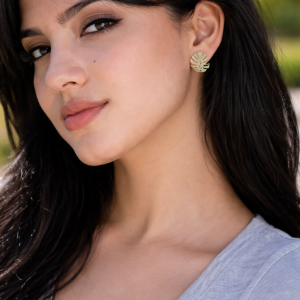 Boucles  Monstera